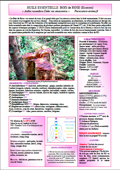 Fiche résumée Bois de Rose, format pdf à imprimer vous même – Image 2