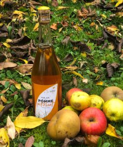 🍀 Jus de Pommes Pétillant Bio – Les Vergers Ducy