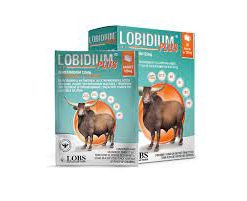 LOBIDIUM 1g – Anti-trypanosomoses