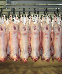 🐑 Offre Limitée Spéciale Tabaski / Carcasses de Mouton de Qualité 🐑