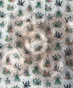 Lot de 6 petites assiettes Arcoroc rose