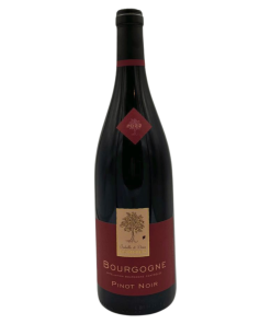 Bourgogne Pinot Noir 2022