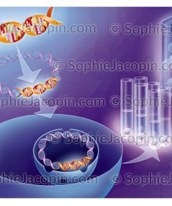 TRAITEMENT HÉMOPHILIE
